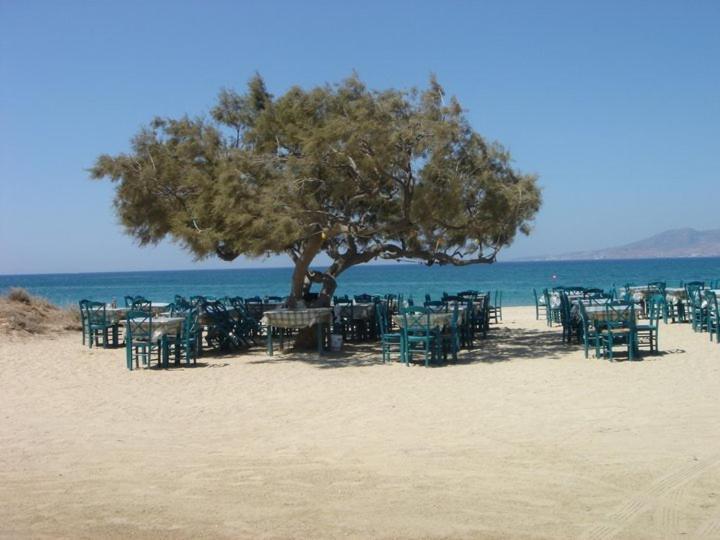 Villa Harmony Agia Anna  Dış mekan fotoğraf